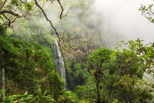 Plakaty dżungla   morans-spada-na-morans-creek-w-gondwana-rainforests-queensland-australia