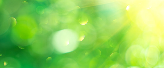 Wall Mural - beautiful nature abstract blurred background. green bokeh backdrop. summer or spring background with