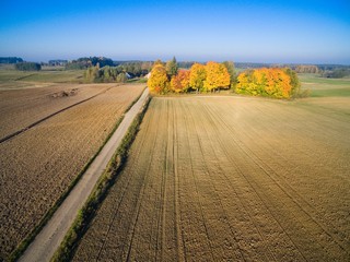 Poster - Aerial view of countryscape during autumn season, Mazury, Poland