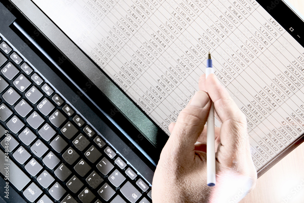 Hand with pen pointing at spreadsheet displayed on a laptop - obrazy, fototapety, plakaty 