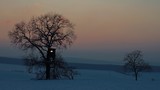 Fototapeta Sawanna - Winter time