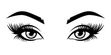 Illustration Of Woman's Sexy Luxurious Eye With Eyebrows And Full Lashes. Idea For Business Visit Card, Typography Vector. Perfect Salon Look. .