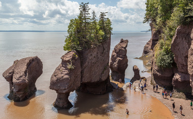new brunswick, canada - august 5, 2017: view of hopewell rocks, also called the flowerpots rocks, ca