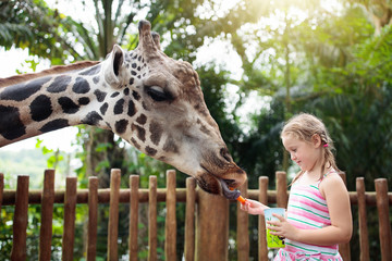 Poster - Kids feed giraffe at zoo. Children at safari park.