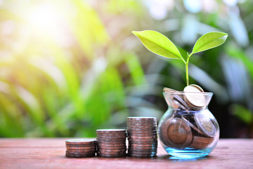 plant money coins saving growth up to profit and investment fund finance business