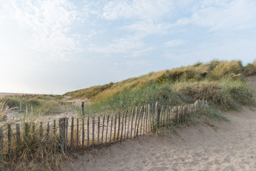 Beautiful seaside weathered wooden fences on a beautiful relaxing calm sandy beach with sand dunes behind, shot with a shallow depth of field. Nature reserve.