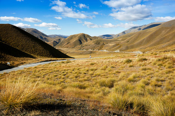 Wall Mural - Landscape with scenic road on the southern island of New Zealand in autumn