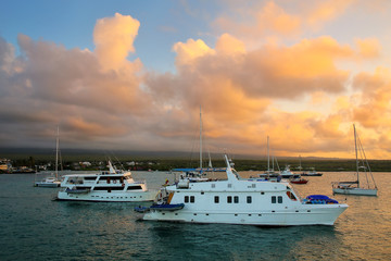 Wall Mural - Boats anchored in Academy Bay near Puerto Ayora on Santa Cruz Island, Galapagos National Park, Ecuador