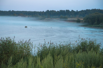 Wall Mural - Baltic Sea.