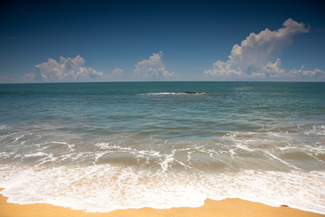 Wall Mural - Yala National Park Sri Lanka. View of the beautiful beach.