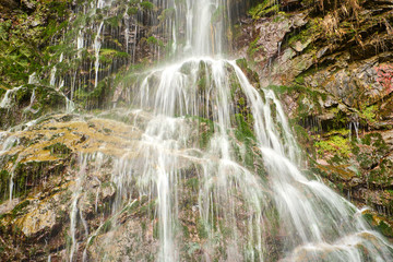 Wall Mural - Small slow motion waterfall cascading over rocks with beautiful lush vegetation