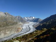 Aletsch Glacier with mountain range against blue sky seen from the Riederalp.