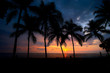 Sonnenuntergang mit Palmen, Hawaii