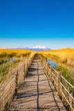 Fototapeta Dziecięca - Wooden bridge walkway path on marshes and reeds in front of mountain. This is from Sultan Sazligi and Erciyes Mountain in Kayseri Turkey. Pastoral beautiful landscape background. 