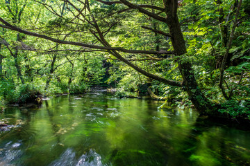 Japan Kamikochi 日本 上高地10