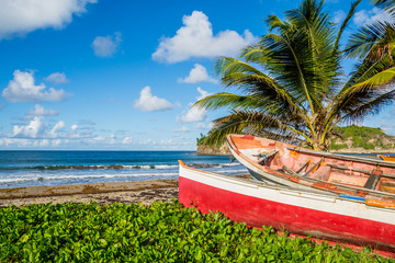 Wall Mural - Caribbean Martinique beach beside traditional fishing boats