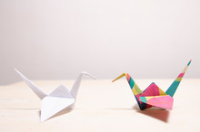 Creative Concept, White Origami Opposite To Colorful Crane Bird 