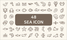 Set Of 48 Sea Life And Ocean Vector Icons. Contains Such Icons As Nautical Creatures , Sea Food, Sea, Ocean, Fish, Coral, Sea Horse, Seaweed, Turtle And Other Elements.