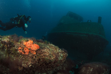 Scuba Diving Malta - Tug 2 at Sliema, Exiles Beach