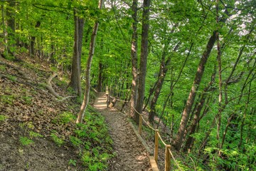 Wall Mural - Frontenac is a State Park in Minnesota