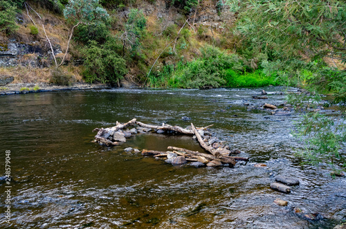 River fish trap Clearance
