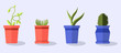 set of plants in pots isolated