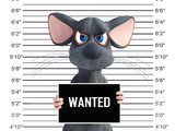 Fototapeta Morze - 3D rendering of an angry cartoon mouse in a mugshot.