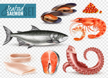 Seafood Cocktail Transparent Set
