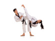 Young male and female taekwondo masters sparring session