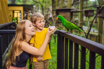 Mom and son feed the parrot in the park. Spending time with kids concept