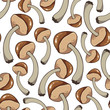 Mushroom seamless pattern. Hand drawn vector illustration.