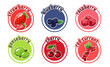 Six stickers with different berries. Cherry, strawberry, currant, blueberry and gooseberry.