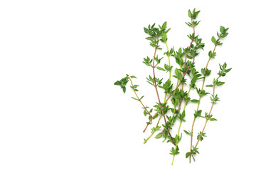 green thyme bunch isolated on white background.