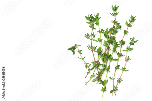 Fotomural green thyme bunch isolated on white background.