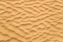 Detail Of A Beautiful Desert Sand Dune, Close-up Texture.