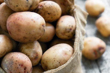 Wall Mural - Raw potatoes in a burlap sack on the rough wooden boards close up