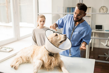 Dog with funnel