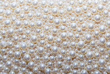 Pearl Background. Texture From Beads Of White Pearls