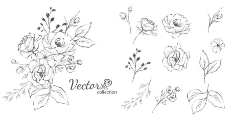 Set of floral branch. Flower rose,  leaves. Wedding concept with flowers. Floral poster, invite. Vector arrangements for greeting card or invitation design