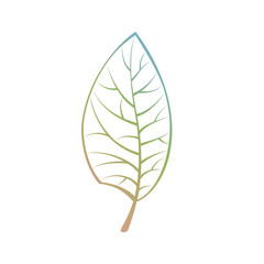  Leaf with Gradient Color Isolated on White Background, Vector Illustration