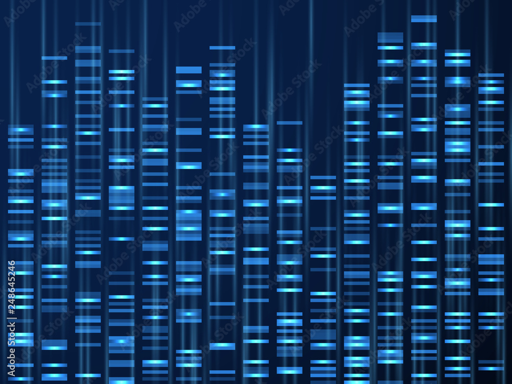 Genomic data visualization. Dna genome sequence, medical genetic map. Genealogy barcode vector background. Illustration of visualization dna, genetic and genealogical texture - obrazy, fototapety, plakaty 