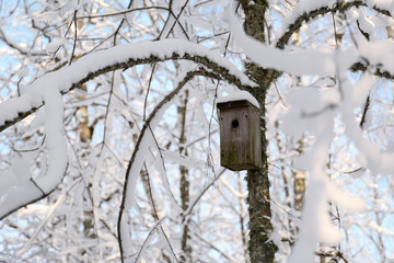 Wall Mural - Birdhouse in winter