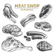 Hand sketched meat products isolated on white background. Vector of steak meat, pork and beef natural illustration