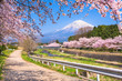 © SeanPavonePhoto - Mt. Fuji viewed from rural Shizuoka Prefecture in spring season
