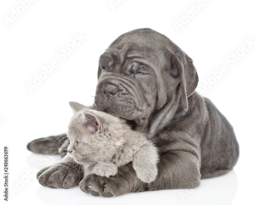 Plakat Czarny mastifa szczeniaka obejmowania dziecko figlarka. na białym tle