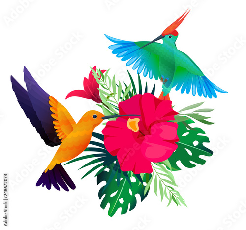 Tropical Birds Plants Exotic Colored Background With Parrots And Hummingbirds Sitting On Leaves And Flowers Vector Picture Illustration Of Bird Exotic With Colored Flower Stock Vector Adobe Stock