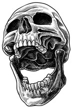 Detailed Graphic Realistic Cool Black And White Human Skull With Open Mouth. Hand Drawn Line Art. On White Background. Vector Icon.