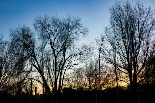 Precioso atardecer en el parque