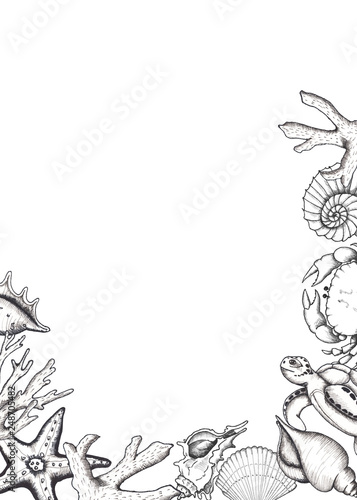 Ocean Sea Watercolor And Graphic Handpainted Invitation Frames With Corals Underwater Animals Black White Doodle Monochrome Natural Living Coral Crab Jellyfish Turtle Seahorse Starfish Stock Illustration Adobe Stock Ocean Sea Watercolor And Graphic Handpainted Invitation Frames With Corals Underwater Animals Black White Doodle Monochrome Natural Living Coral Crab Jellyfish Turtle Seahorse Starfish Stock Illustration Adobe Stock