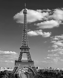 Fototapeta Boho - Eiffel Tower symbol of Paris in black and white